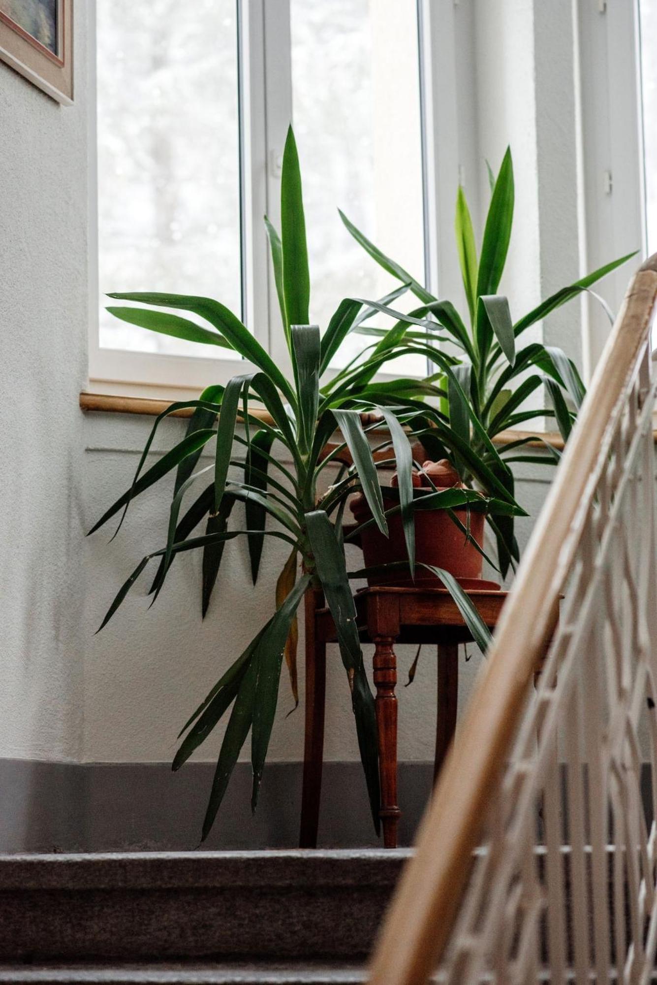 Gruppenhaus Lindenhof 楚尔瓦尔登 客房 照片